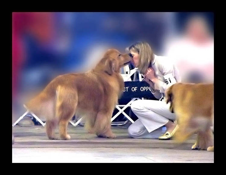 lindsay and hooch