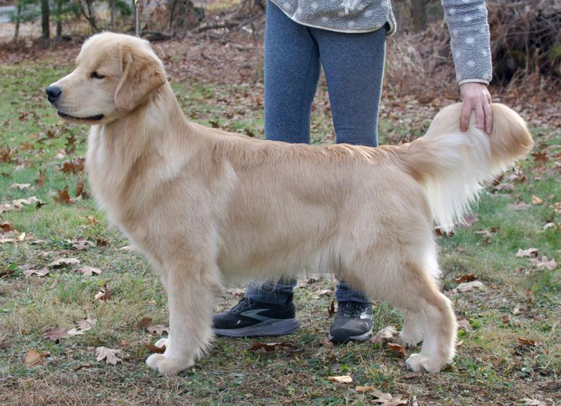 prince 9 months old