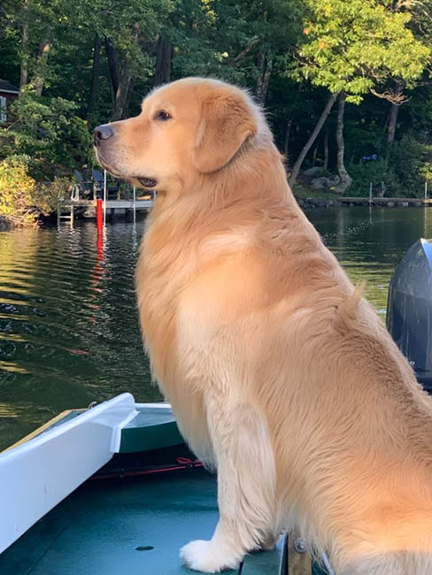 rex