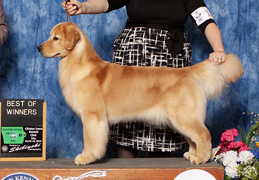 tangleloft female golden named hush